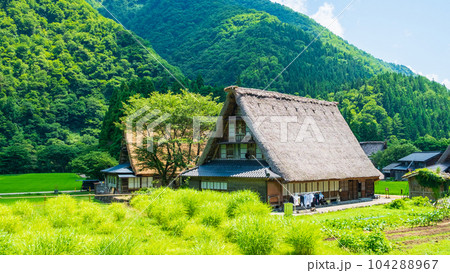 五箇山・菅沼合掌造り集落（夏） 104288967