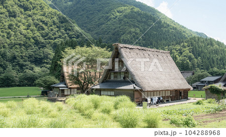 五箇山・菅沼合掌造り集落（夏） 104288968