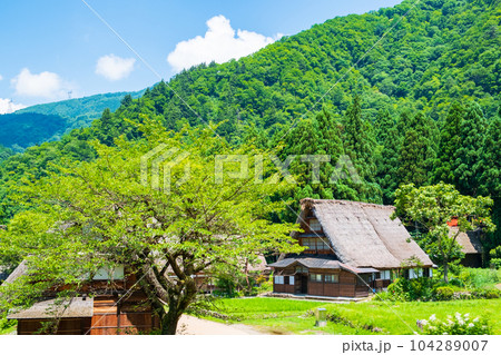 五箇山・菅沼合掌造り集落(夏) 五箇山・菅沼合掌造り集落(夏) 104289007