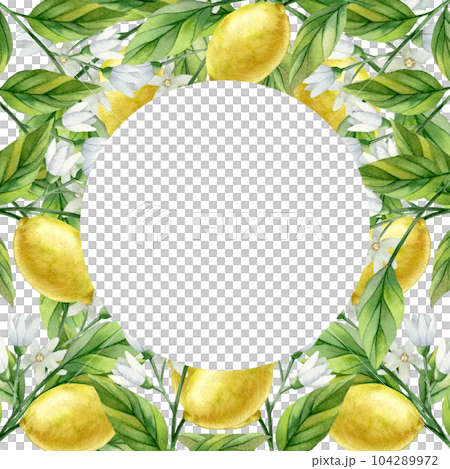Lemon frame watercolor illustrattion. Hand drawn illustration isolated on white background. Lemon frame watercolor illustrattion. Hand drawn illustration isolated on white background. 104289972