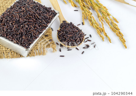 Rice berry on white background. 104290344