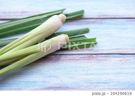 Close up fresh organic lemongrass Close up fresh organic lemongrass 104290619