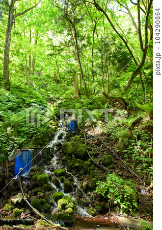白神山地深山のわき水　秋田県藤里町 104290864