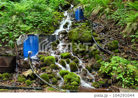 白神山地 きれいな横倉の湧水 秋田県藤里町 白神山地 きれいな横倉の湧水 秋田県藤里町 104291044