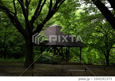 緑の中の東屋 104291373