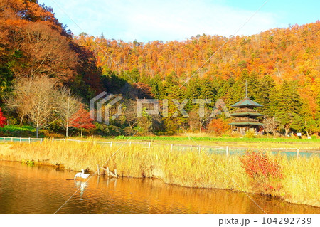 安久津八幡神社 紅葉 黄葉 安久津八幡神社 紅葉 黄葉 104292739