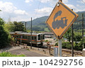 211系 普通列車 吾妻線 岩島駅 踏切 蒸気機関車 標識 20230625  104292756
