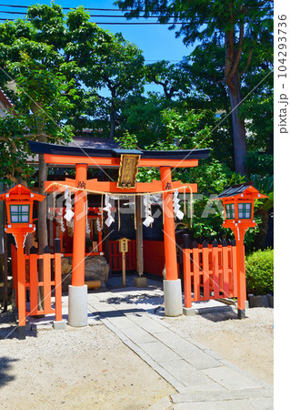 大将軍八神社 大杉大神(京都市上京区) 大将軍八神社 大杉大神(京都市上京区) 104293736