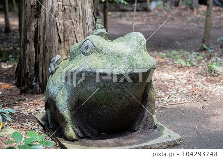 茨城県下妻市　大宝八幡宮 104293748