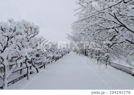 雪景色 104293776