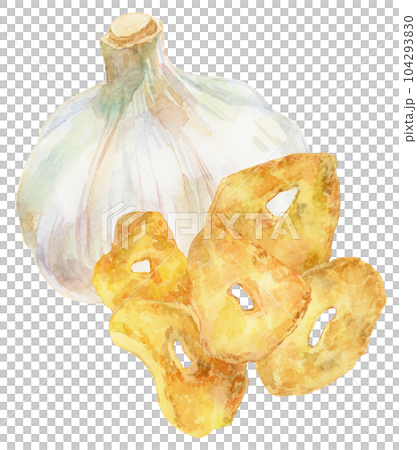 大蒜和蒜片的水彩插圖 大蒜和蒜片的水彩插圖 104293830
