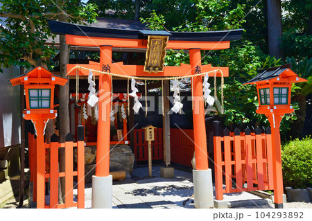 大将軍八神社　大杉大神（京都市上京区） 104293892