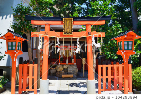 大将軍八神社　大杉大神（京都市上京区） 104293894