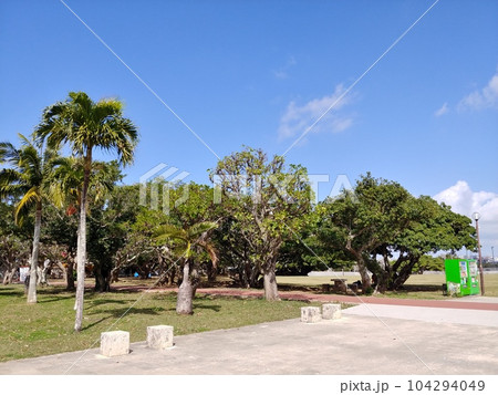 沖縄 新都心公園31 沖縄 新都心公園31 104294049