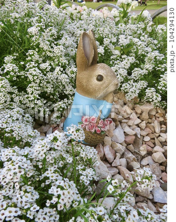 白いスイートアリッサムの花とウサギの園芸オーナメント 104294130