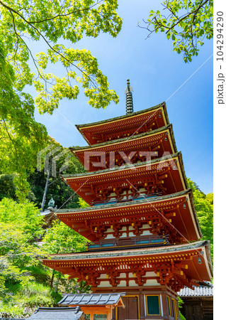 奈良県　長谷寺の五重塔 104294290