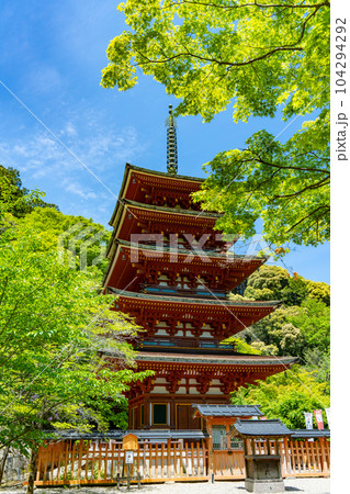 奈良県　長谷寺の五重塔 104294292