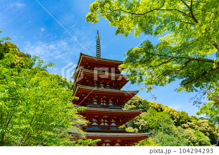 奈良県　長谷寺の五重塔 104294293