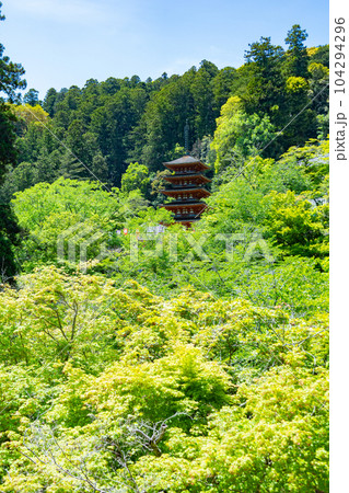 奈良県　長谷寺の五重塔 104294296