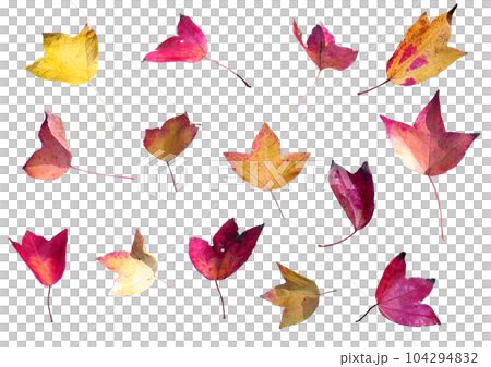 紅葉の葉 紅葉の葉 104294832