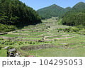 四谷の千枚田 104295053