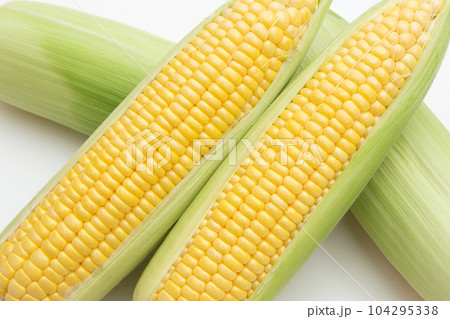 トウモロコシ 104295338