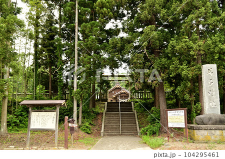 新潟県上越市五智に鎮座する越後国一宮の居多神社 新潟県上越市五智に鎮座する越後国一宮の居多神社 104295461