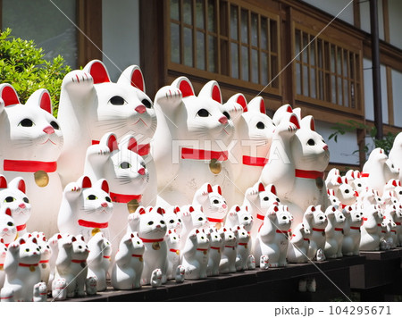 豪徳寺 招き猫 豪徳寺 招き猫 104295671