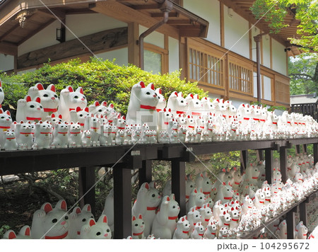 豪徳寺　招き猫 104295672