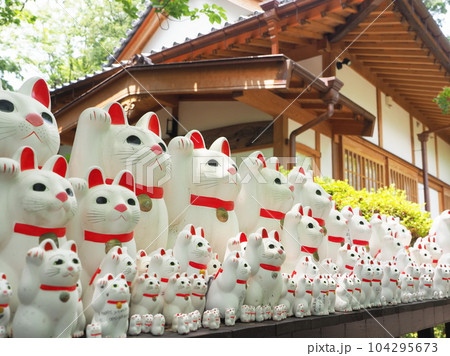 豪徳寺　招き猫 104295673