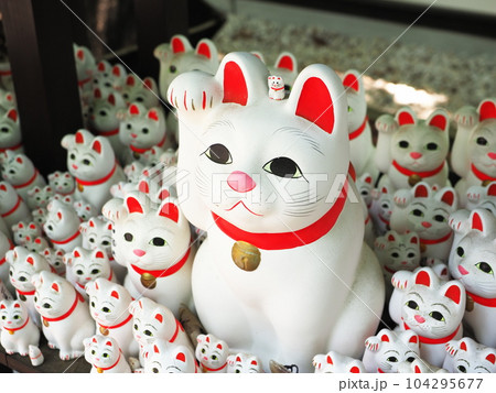 豪徳寺　招き猫 104295677