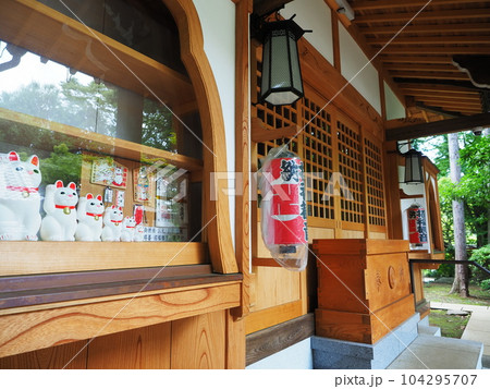 豪徳寺　招き猫 104295707