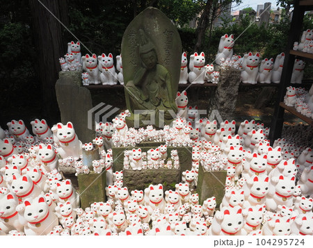 豪徳寺　招き猫 104295724