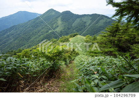 日本の岡山県真庭市の櫃ヶ山のとても美しい風景 104296709