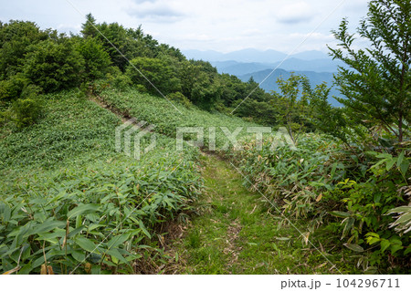 日本の岡山県真庭市の櫃ヶ山のとても美しい風景 日本の岡山県真庭市の櫃ヶ山のとても美しい風景 104296711
