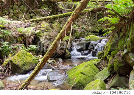 日本の岡山県真庭市の櫃ヶ山のとても美しい風景 104296716