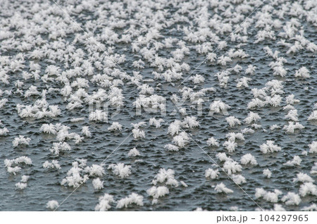 氷の花　フロストフラワー　屈斜路湖にて　 104297965