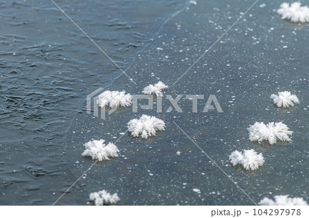 氷の花 フロストフラワー 屈斜路湖にて 氷の花 フロストフラワー 屈斜路湖にて 104297978
