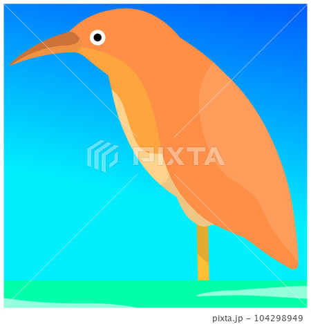 リュウキュウヨシゴイ 104298949