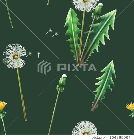Watercolor seamless pattern with dandelions flowers and green leaves. Hand painting clipart botanical meadow illustration on a white isolated background. For designers, decoration, postcards, wrapping Watercolor seamless pattern with dandelions flowers and green leaves. Hand painting clipart botanical meadow illustration on a white isolated background. For designers, decoration, postcards, wrapping 104299004