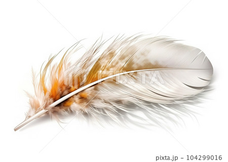 Image of chicken feather on white background. Farm animals. Illustration. Generative AI. Image of chicken feather on white background. Farm animals. Illustration. Generative AI. 104299016