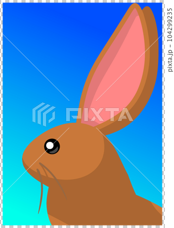 antelope jack rabbit 104299235