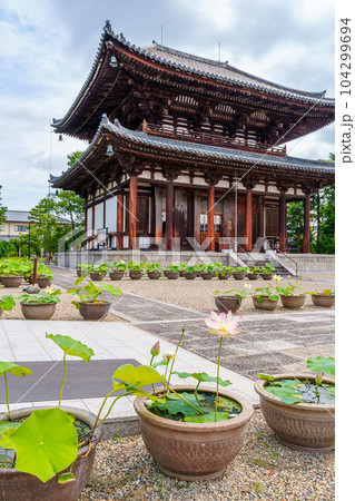 【奈良県】奈良市 喜光寺 (2023/06/20撮影) 【奈良県】奈良市 喜光寺 (2023/06/20撮影) 104299694