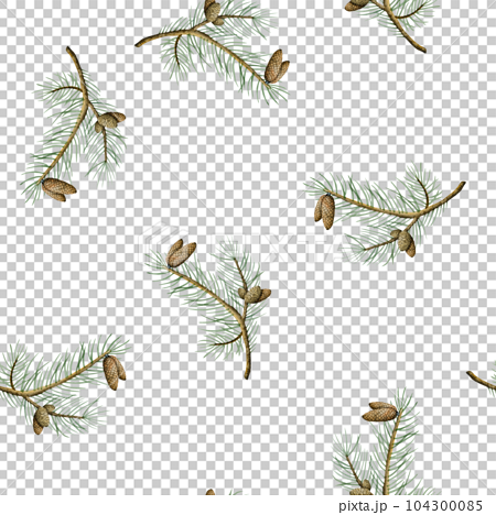 Christmas Tree Branches Background On Transparent Background Stock