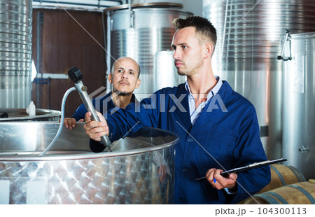 young man expert in winery young man expert in winery 104300113