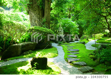 竹林で有名な鎌倉・報国寺 竹林で有名な鎌倉・報国寺 104300755