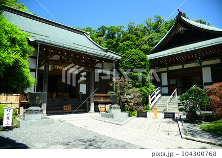 竹林で有名な鎌倉・報国寺 竹林で有名な鎌倉・報国寺 104300768
