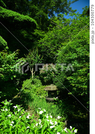 竹林で有名な鎌倉・報国寺 104300779