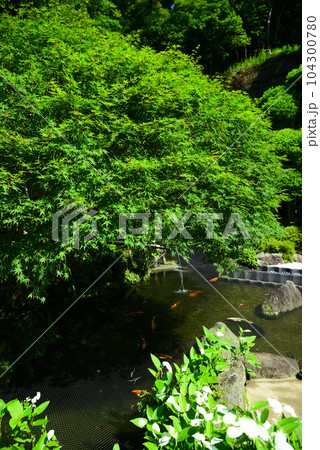 竹林で有名な鎌倉・報国寺 竹林で有名な鎌倉・報国寺 104300780