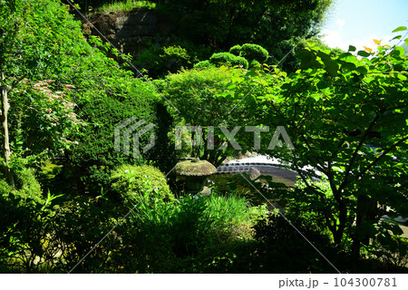 竹林で有名な鎌倉・報国寺 104300781